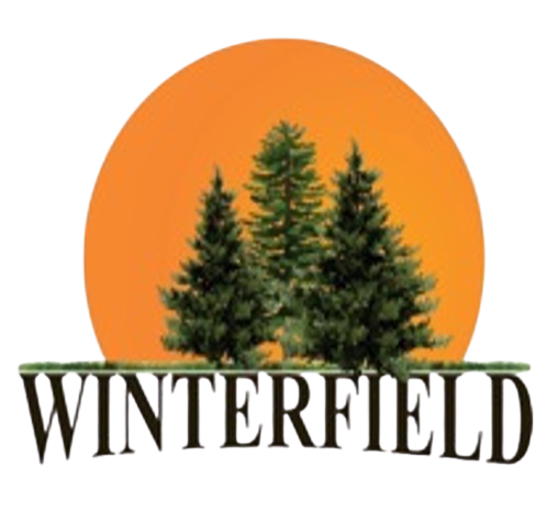 WINTERFIELD TOWNSHIP, MI Logo